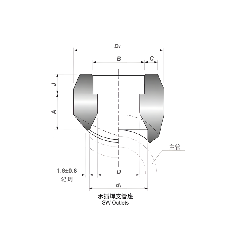 sockolet ASTM A182 F304 CL6000