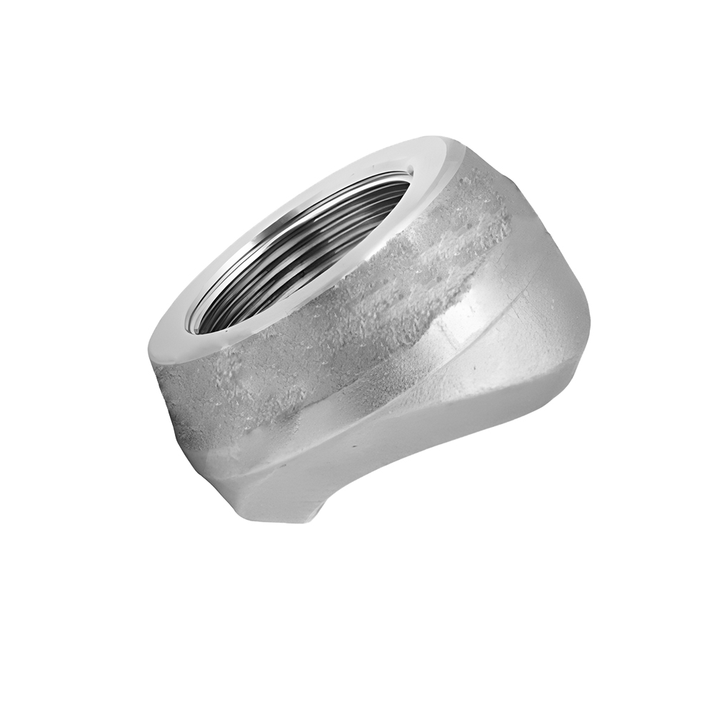 Threadolet ASTM A182 F304 CL3000